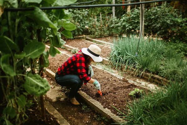 How Can You Integrate a Vegetable Patch into a Small UK Courtyard?